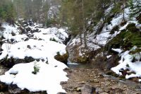 112 Szczawnica 28.02 - 01.03.2015 r.